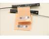 Lenovo 5A30Z88194 ANTENNA FRU ANTENNA SPEED WLAN AL T16G1