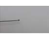 Lenovo 5A30Z88223 ANTENNA Antenna WL Main&Aux HT 300WG4