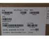 Lenovo 5A30Z88268 ANTENNA FRU ANTENNA WLAN