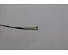 Lenovo 5A30Z88268 ANTENNA FRU ANTENNA WLAN
