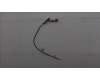 Lenovo 5A31F27751 ANTENNA Fru, 8.2L 2_in_1 ant_Speed