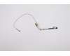Lenovo 5C10S30131 EDP cabler B 82H4