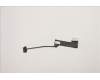Lenovo 5C10S30463 EDP cable W 82R7 OLED