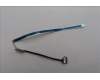 5C10S31148 Lenovo CABLE Cable L 83GU EDP XINTAILI