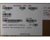 5C10S31504 Lenovo CABLE Cable L 83LT EDP CABLE OLED LUX