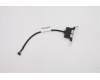 Lenovo 5C10U58186 CABLE Fru 200mm Rear USB2 LP cable