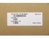 Lenovo 5C10U58354 CABLE Fru 8p to 6p and 6+2p 250mm Cable