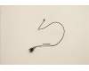 5C10U58451 Lenovo CABLE Fru 475mm C2 SWITCH_TCO8.0
