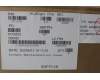 Lenovo 5C11H81587 FRU H-CONN SET 2WP M/B FHD CAM