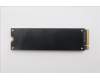 Lenovo 5C50S25887 CARDPOP CARDPOP L 21R0 DNPU