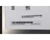 Lenovo 5D10J67100 DISPLAY LCD Module W Flex3-1435 HD