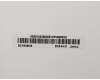 Lenovo 5D10S39635 DISPLAY LCD Module B 11HD W/G-sensor