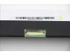 Lenovo 5D10S39696 DISPLAY LCD Module L 82H9 HD