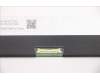 Lenovo 5D10Z77954 DISPLAY FRU INX N116BGE-EA2 C5 11.6 HD