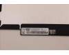 Lenovo 5D10Z90322 Lenovo DISPLAY,11.6\",FHD,Non-Touch,Anti-Glare,TN,250nit,45%NTSC