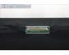 Lenovo 5D11C95957 DISPLAY WQUXGAIPS 00n NT FCC-BOE