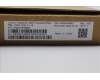 Lenovo 5D50U84622 DT_KYB Tra USB AI KB BLK_BR-PT