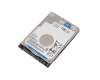 Western Digital Blue HDD 1TB (2.5 inches / 6.4 cm) for Sager Notebook NP8451 (PB51RC)