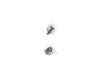 Asus 13020-00096300 2x M.2 screws with clip - Q-Latch