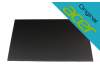 Acer 250928N original IPS display (1920x1200) matt 180Hz
