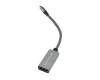 Acer Predator Triton 16 (PT16-51) USB-C to DP adapter