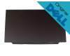 Alienware Area-51m R2 IPS display (1920x1080) matt 300Hz