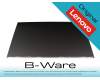 DY057R 100Hz IPS Display (1920x1080) matt b-stock
