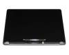 Display Unit 13.3 Inch (WQXGA 2560x1600) gray original (Retinea IPS True Tone TFT) suitable for Apple A2179 (EMC 3302)