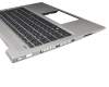 Keyboard incl. topcase DE (german) black/silver with backlight original suitable for HP ProBook 445 G6