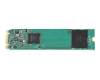 Western Digital SA510 WDS500G3B0B-00AXS0 SSD 500GB (M.2 22 x 80 mm)